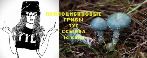 PSILOCYBIN Белокуриха